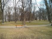 Park Starokozielski