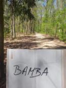 Wokół 