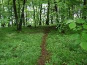 Scieżka nad jezioro