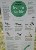 Tej tablicy szukamy