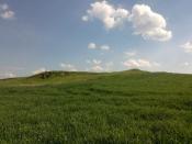 okolica