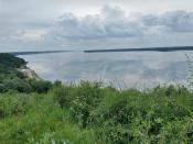 Widok