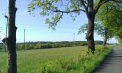 Widok na Srebrną Górę