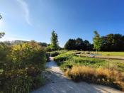 park