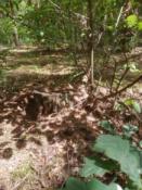 Widok z innej strony