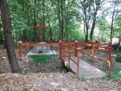 nowe zagospodarowanie cm.