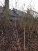 widok z miejsca ukrycia