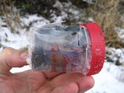 szkodnik Burza poniszczył skarb, przestroga przed zimowym bobrowaniem