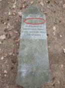 Tu szukaj hasła