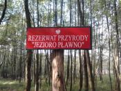 W pobliżu Lipy