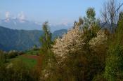 tatry