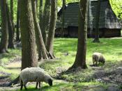 Skansen