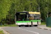 autobus