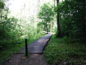 pomosty nad rozlewiskami Czarnej Wody