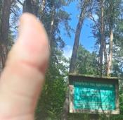 Tabliczka jest, mokradła są