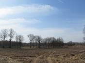 wiosenne klimaty