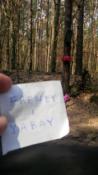 Lista obecności ;)
