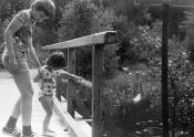 Mostek 1978 