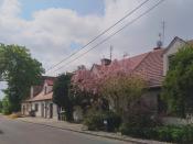 ul. Ząbkowicka