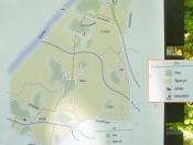 Mapka