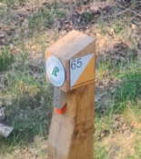 s.65