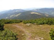 Widok w odpowiednią stronę