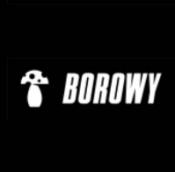 Borowy