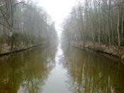 widok
