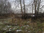 IMG_20251126_111238_edit_78119464244849