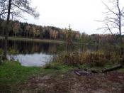 Plaża nad jeziorem Rząśnik