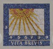 Vita Brevis