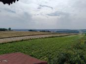  panorama z wieży