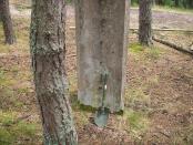 Łopatka wskazuje nową lokalizację