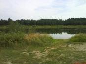 staw