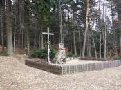 ofiarom obławy