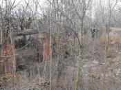 Ruiny dawnej fabryki ( prawdopodbnie masek gazowych itp sprzętu wojskowego