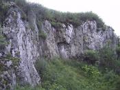szklica