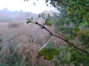 hotelowe ozdoby wokół