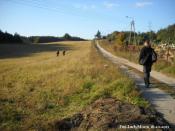 Ulica Kolonia - 2011 rok