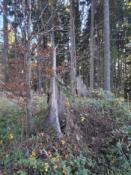 Nie w tym. W tym na drugim planie...