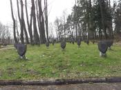 Groby żołnierzy polskich