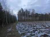 Droga biegnąca wzdłuż dawnej granicy, kesz schowany gdzieś po środku zdjęcia