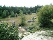 Widok z dachu