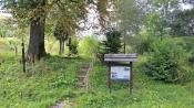 widok z drogi