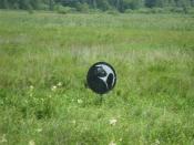 Pobliskie ostrzeżenia