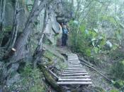 tam jest kesz - ale isc trzeba do przodu 