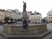 Rynek i ja