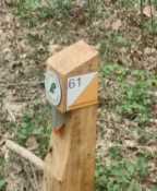 s.61