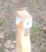 s.43