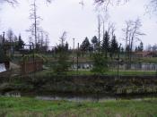 Małe ZOO